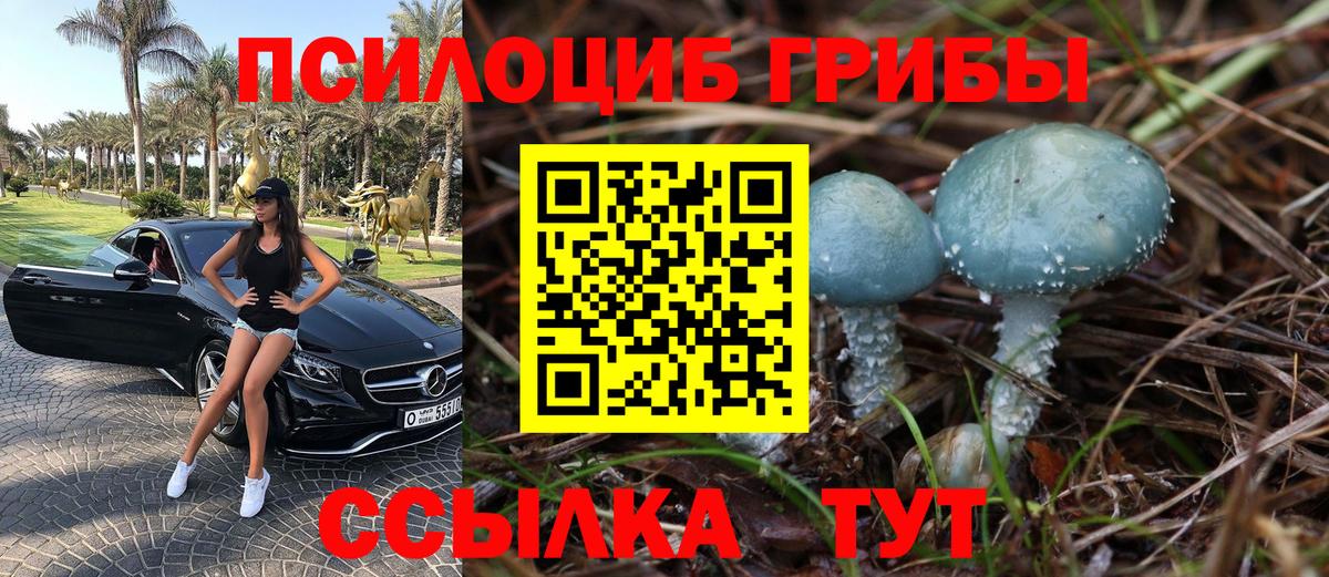 Галлюциногенные грибы прущие грибы  Вход с VPN  сколько стоит  Псилоцибиновые грибы Psilocybe  Кисловодск 