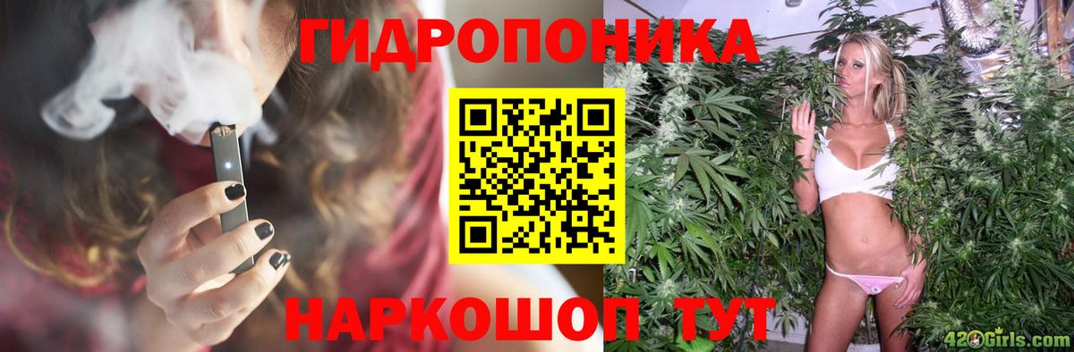 Каннабис White Widow Кисловодск